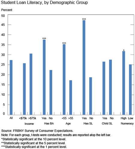 Student Loan Literacy, by Demographic Group