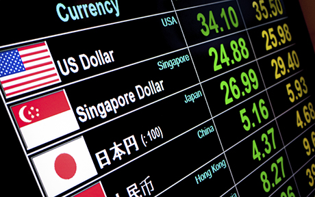 The Effect of Exchange Rate Shocks on Domestic Prices