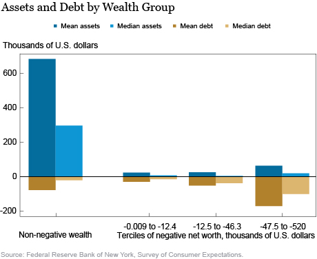 LSE_2016_Chart_Which Households Have Negative Wealth?