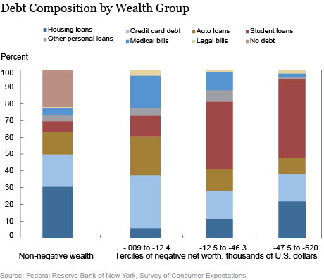 LSE_2016_Chart_Which Households Have Negative Wealth?