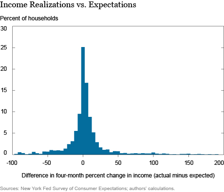 Understanding Permanent and Temporary Income Shocks