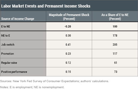 Understanding Permanent and Temporary Income Shocks