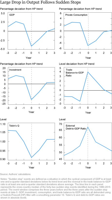 Good News, Leverage, and Sudden Stops