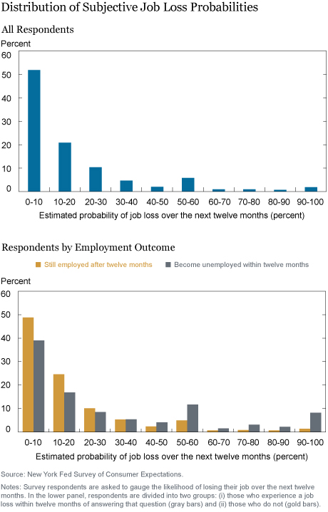 Expecting the Unexpected: Job Losses and Household Spending