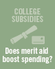 Do College Tuition Subsidies Boost Spending and Reduce Debt? Impacts by Income and Race