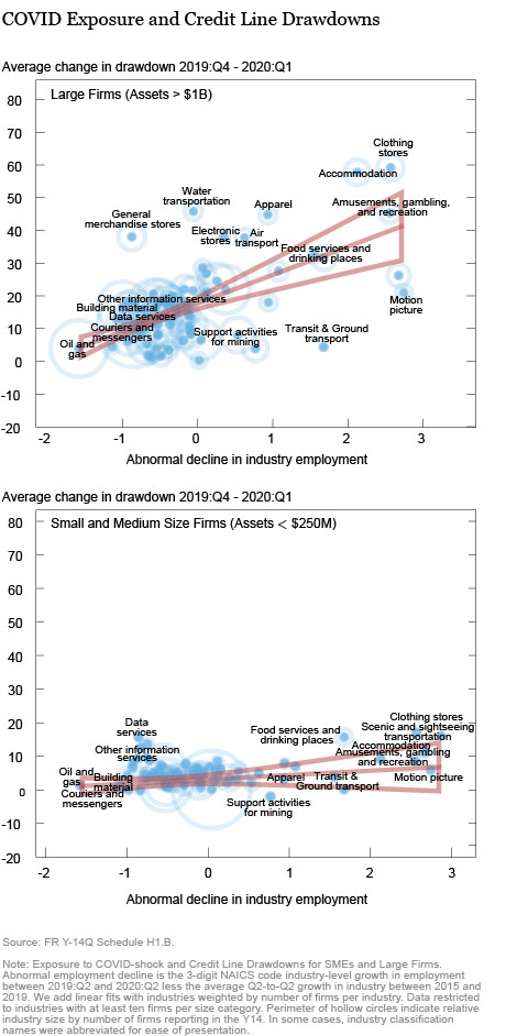 Weathering the Storm: Who Can Access Credit in a Pandemic?