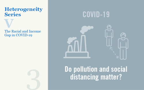 Understanding the Racial and Income Gap in COVID-19: Social Distancing, Pollution, and Demographics