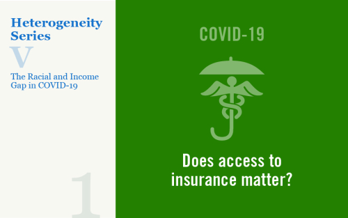 Understanding the Racial and Income Gap in Covid-19: Health Insurance, Comorbidities, and Medical Facilities