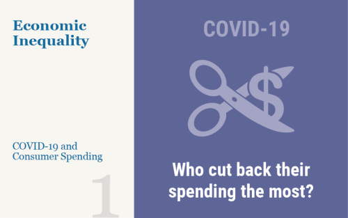 LSE_2021_covid-inequality_seriesVII_chakrabarti_460