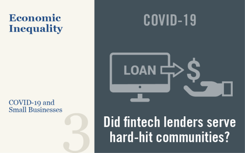 Who Benefited from PPP Loans by Fintech Lenders?