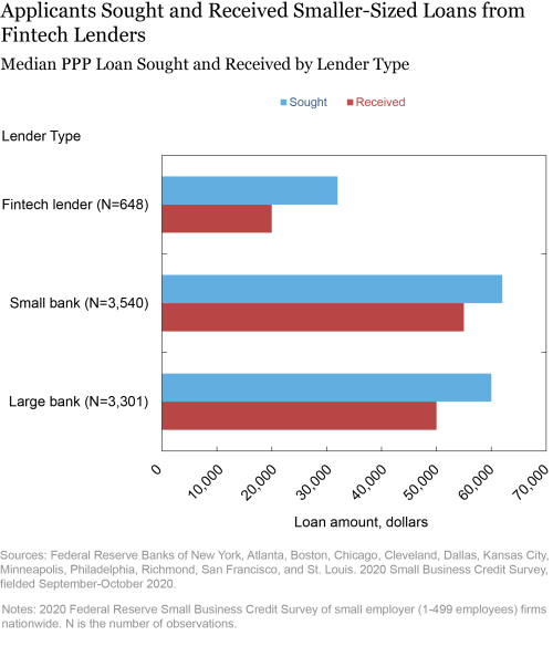 Who Benefited from PPP Loans by Fintech Lenders?