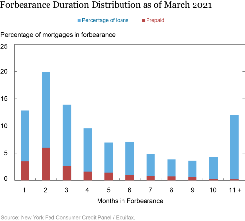 What’s Next for Forborne Borrowers?