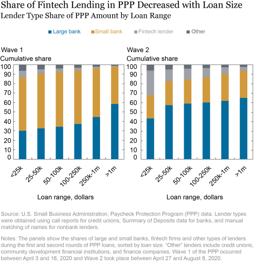 Who Benefited from PPP Loans by Fintech Lenders?