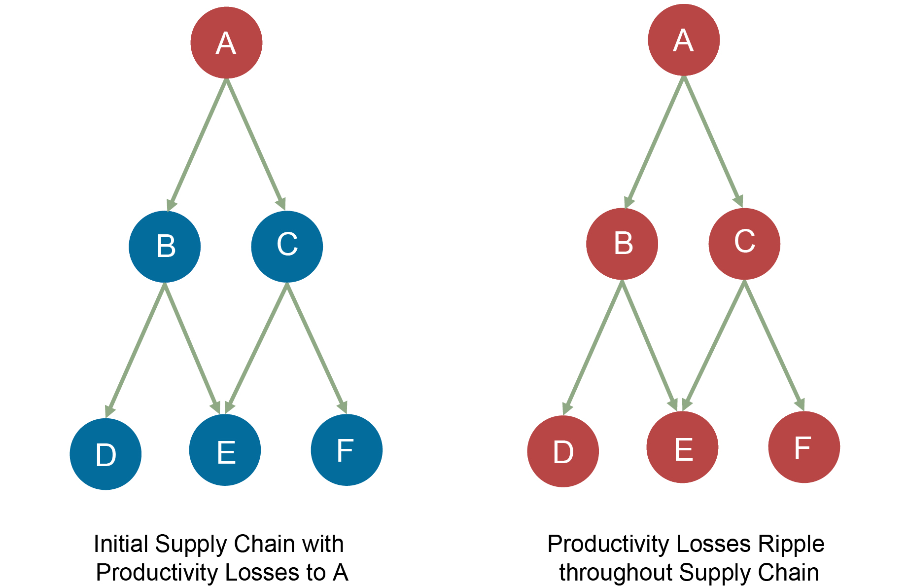 The Spillover Effects of COVID19 on Productivity throughout the Supply