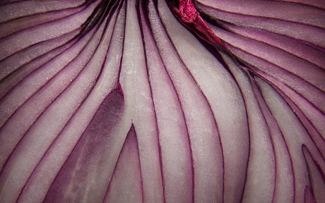Decorative photo: Closeup of red onion layers texture abstract background
