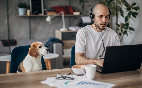 Decorative image: man working on laptop at home with dog sitting next to him
