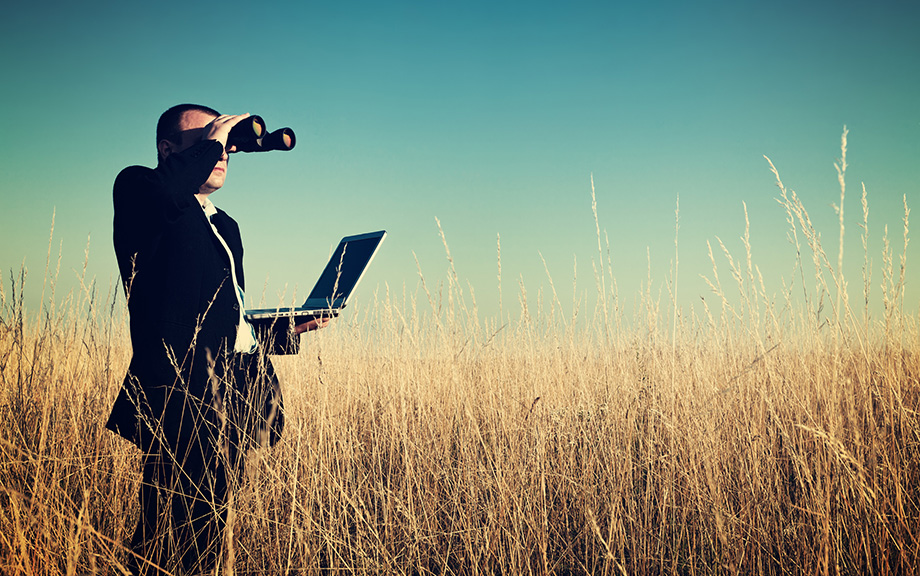 Decorative Image: Businessman looking field for investment.